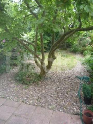 			LET!, 5 Bedroom, 1 bath, 1 reception House			 Priory Ave, Crouch End N8